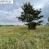 Nowa Wieś Przywidzka- dz. z panoramicznym widokiem