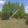 Działka 1200m2 media MPZP Kuklówka