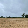Skrzeszewo - kompleks trzech działek