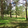 Zaciszna działka w Sitnie