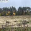 Kamień - działka przy zagajniku