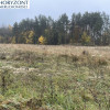 Kamień - działka przy zagajniku