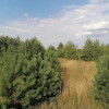 Koleczkowo - działki budowlane