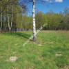 Działka 1030 m Budy Mszczonowskie