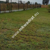 ⭐⭐⭐⭐⭐ Ustawna 1500m2 w cichej okolicy 45mx33m⭐⭐⭐⭐⭐
