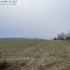 Dobrzewino - kompleks działek