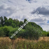 Działka budowlana, Stara Wieś, 3500 m2. MPZP