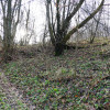 Działka Witryłów