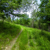 Stryszawa | teren inwestycyjny 1,22 ha | 63 ar MN!