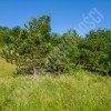 Działka budowlana 770 m² | Zawoja | Widok i słońce