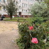 Wyjątkowe, 2-poziomowe mieszkanie z antresolą
