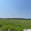 Działka bud. 800 m² w Radzyminie, spokojna okolica