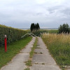 Działki 3000 m² nad Zalewem Wiślanym .