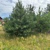 Działka w Strabli ul. Nowa pow. 1000 m2