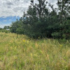 Działka w Strabli ul. Nowa pow. 1000 m2