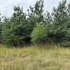 Działka w Strabli ul. Nowa pow. 1000 m2
