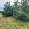 Działka w Strabli ul. Nowa pow. 1000 m2