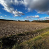 Działka w Żukach 1009 m2 przy drodze asfaltowej.