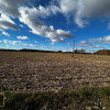 Działka w Żukach 1009 m2 przy drodze asfaltowej.