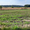Działka Rudno ul.  