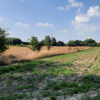 Działka Rudno ul.  