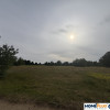 Działka usł. turystyki 250 m od Bugu-Arciechów