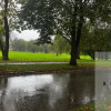 Działka Tarnów ul. C. K. Norwida