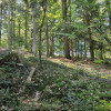 Działka rolno-leśna- Żurowa- Małopolska