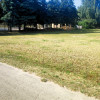 Działka Lasocin ul.  