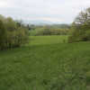Przetarg - obręb geodezyjny Ogrodzona