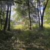 Działka Rybno Wielkie ul.  