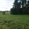 Działka Piecki