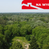 Siedlisko w Kaliszanach Kolonii gm. Józefów
