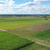 Działka Czerwone