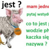 ? UWAGA! REWELACJA DLA D.U.P.A., RADCY PRAWNEGO, NOTARIUSZA, ADWOKATA, DORADCY FINANSOWEGO, BIZNESOWEGO I PODATKOWEGO! ? ?️ Wrocław Gajowice Krzyki – Kancelaria Krucza 78 (65 m²) w luksusowym standardzie berlińskim na sprzedaż!