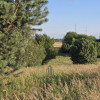 Działka Witaniów ul. Edwarda Stachury