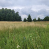 Działka Łucka-Kolonia ul.  