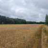 Działka Łucka-Kolonia ul.  
