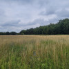 Działka Łucka-Kolonia ul.  