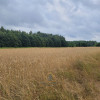 Działka Łucka-Kolonia ul.  