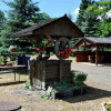 Lokal Stare Bogaczowice