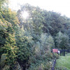 Lokal Stare Bogaczowice