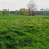 Działka Wierzbna