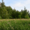 Działki 2 x 11a pod zabudowę - Rudna Mała