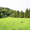 Działka Michałkowa