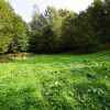 Działka Michałkowa