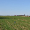 Działka Kunów ul.  