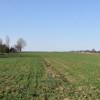 Działka Kunów ul.  