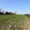 Działka Kunów ul.  