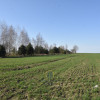Działka Kunów ul.  